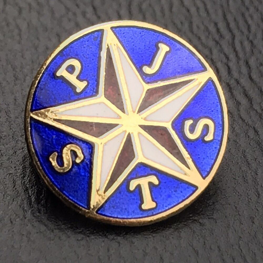 Slavonic Benevolent Order of the State of Texas SPJST Star Pin Gold Tone Small